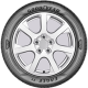 Goodyear F1 ASYM 3 SUV EVR XL AO FP